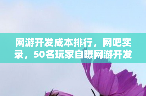 网游开发成本排行，网吧实录，50名玩家自曝网游开发黑幕？策划听完直接绷不住了！