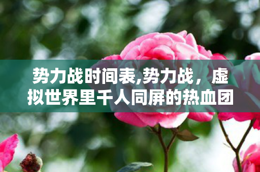 势力战时间表,势力战,虚拟世界里千人同屏的热血团战记忆 势力战时间表,势力战,虚拟世界里千人同屏的热血团战记忆