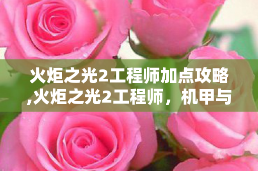 火炬之光2工程师加点攻略,火炬之光2工程师，机甲与重工交织的战场多面手