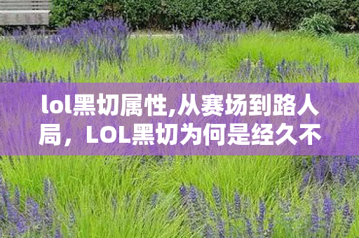 lol黑切属性,从赛场到路人局,LOL黑切为何是经久不衰的战士神装 lol黑切属性,从赛场到路人局,LOL黑切为何是经久不衰的战士神装