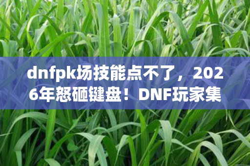 dnfpk场技能点不了,2026年怒砸键盘!DNF玩家集体崩溃,PK场为何成鬼门关? dnfpk场技能点不了,2026年怒砸键盘!DNF玩家集体崩溃,PK场为何成鬼门关?