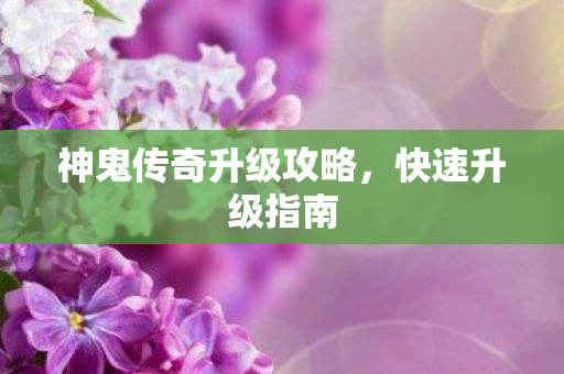 神鬼传奇升级攻略图片