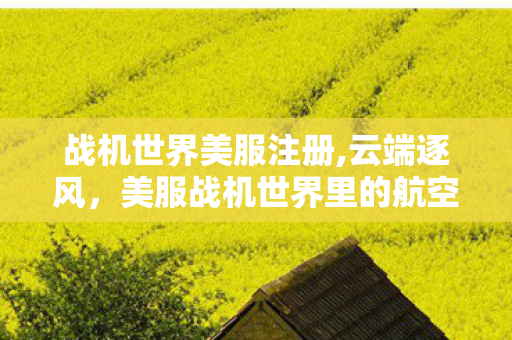 战机世界美服注册,云端逐风,美服战机世界里的航空爱好者乐园 战机世界美服注册,云端逐风,美服战机世界里的航空爱好者乐园