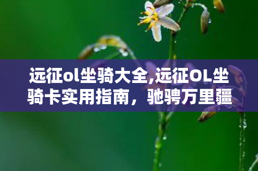 远征ol坐骑大全,远征OL坐骑卡实用指南,驰骋万里疆场的追风好伙伴 远征ol坐骑大全,远征OL坐骑卡实用指南,驰骋万里疆场的追风好伙伴