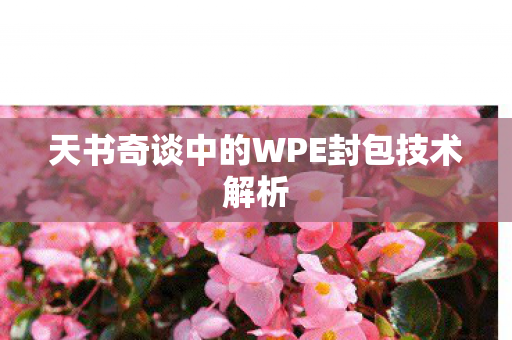 天书奇谈中的WPE封包技术解析图片
