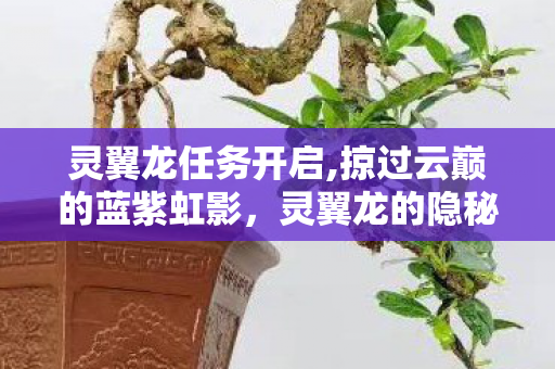 灵翼龙任务开启,掠过云巅的蓝紫虹影，灵翼龙的隐秘世界