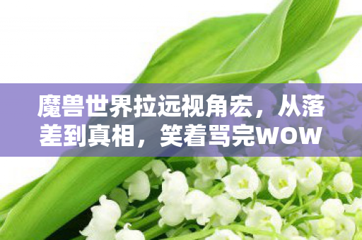 魔兽世界拉远视角宏，从落差到真相，笑着骂完WOW，笑着笑着哭了