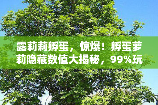 露莉莉孵蛋，惊爆！孵蛋萝莉隐藏数值大揭秘，99%玩家不知的3大暗改机制