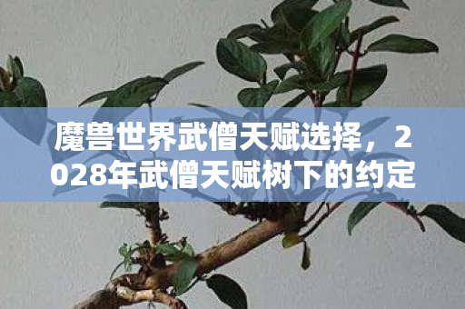 魔兽世界武僧天赋选择，2028年武僧天赋树下的约定，那些人走了，鼻子一酸才懂何为永恒