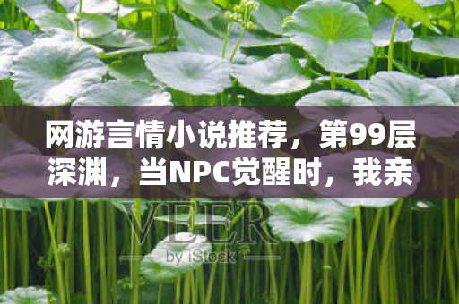 网游言情小说推荐,第99层深渊,当NPC觉醒时,我亲手杀死了自己的命运 网游言情小说推荐,第99层深渊,当NPC觉醒时,我亲手杀死了自己的命运