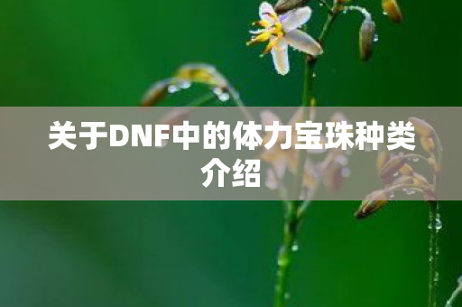 关于DNF中的体力宝珠种类介绍图片