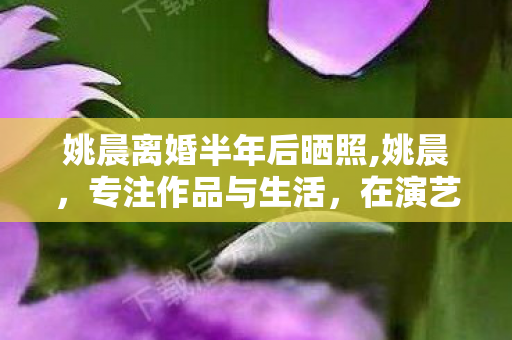 姚晨离婚半年后晒照,姚晨,专注作品与生活,在演艺道路上稳步前行 姚晨离婚半年后晒照,姚晨,专注作品与生活,在演艺道路上稳步前行