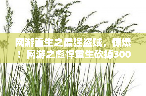 网游重生之最强盗贼，惊爆！网游之彪悍重生砍掉3000万玩法竟因这隐情，吓一跳！