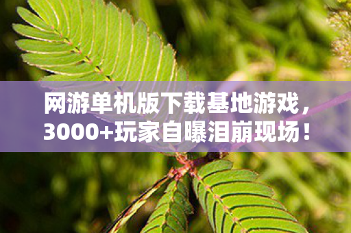 网游单机版下载基地游戏,3000+玩家自曝泪崩现场!单机版下载基地疑云,这波操作谁绷得住? 网游单机版下载基地游戏,3000+玩家自曝泪崩现场!单机版下载基地疑云,这波操作谁绷得住?