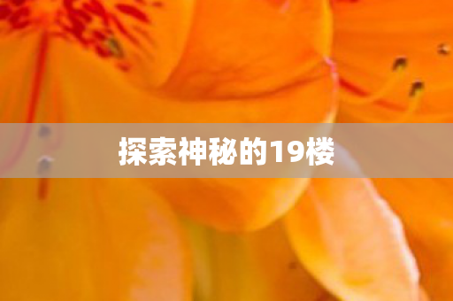 探索神秘的19楼图片
