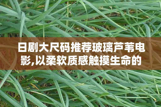日剧大尺码推荐玻璃芦苇电影,以柔软质感触摸生命的隐秘褶皱 日剧大尺码推荐玻璃芦苇电影,以柔软质感触摸生命的隐秘褶皱