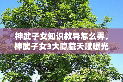 神武子女知识教导怎么弄,神武子女3大隐藏天赋曝光!99%家长错过的逆袭密码竟是… 神武子女知识教导怎么弄,神武子女3大隐藏天赋曝光!99%家长错过的逆袭密码竟是…