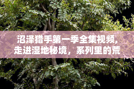 沼泽猎手第一季全集视频,走进湿地秘境,系列里的荒野智慧与自然图景 沼泽猎手第一季全集视频,走进湿地秘境,系列里的荒野智慧与自然图景