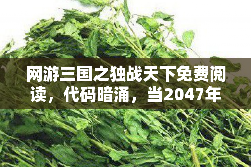 网游三国之独战天下免费阅读，代码暗涌，当2047年三国战场代码量破亿，我指挥千军头皮发麻