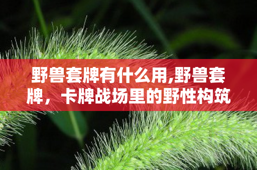 野兽套牌有什么用,野兽套牌,卡牌战场里的野性构筑浪漫 野兽套牌有什么用,野兽套牌,卡牌战场里的野性构筑浪漫