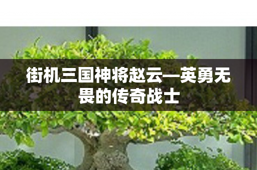英勇无畏的传奇战士图片