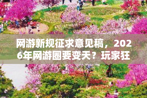 网游新规征求意见稿，2026年网游圈要变天？玩家狂喜背后竟藏着惊天大反转！