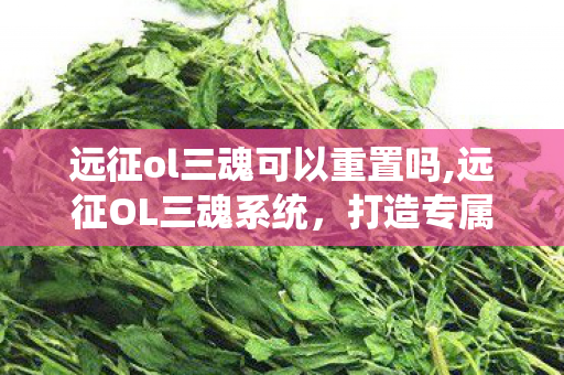 远征ol三魂可以重置吗,远征OL三魂系统,打造专属战斗流派的核心密钥 远征ol三魂可以重置吗,远征OL三魂系统,打造专属战斗流派的核心密钥