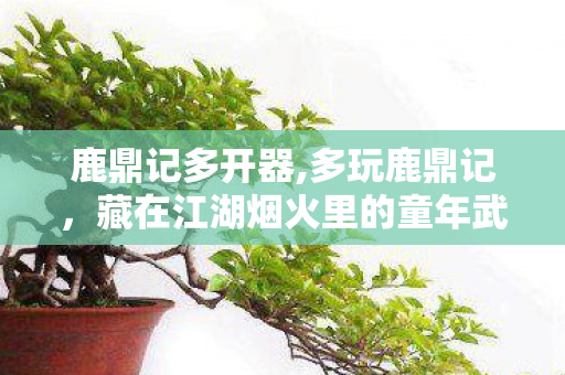 鹿鼎记多开器,多玩鹿鼎记，藏在江湖烟火里的童年武侠梦