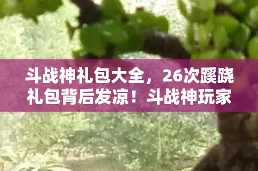 斗战神礼包大全,26次蹊跷礼包背后发凉!斗战神玩家集体后背发凉真相曝光 斗战神礼包大全,26次蹊跷礼包背后发凉!斗战神玩家集体后背发凉真相曝光