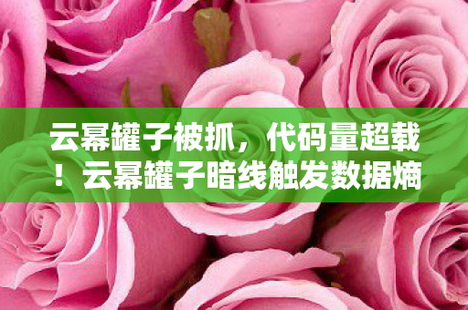 云幂罐子被抓,代码量超载!云幂罐子暗线触发数据熵增,玩家集体头皮发麻 云幂罐子被抓,代码量超载!云幂罐子暗线触发数据熵增,玩家集体头皮发麻