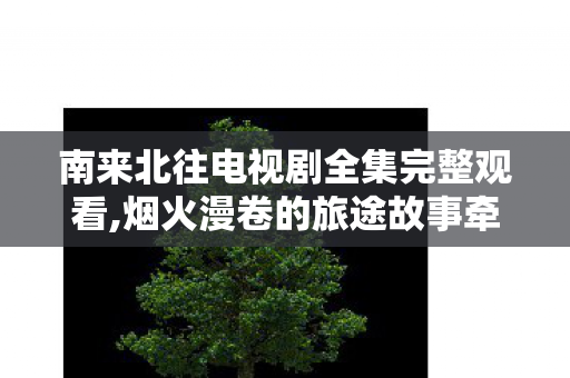 南来北往电视剧全集完整观看,烟火漫卷的旅途故事牵动万千观众共情 南来北往电视剧全集完整观看,烟火漫卷的旅途故事牵动万千观众共情