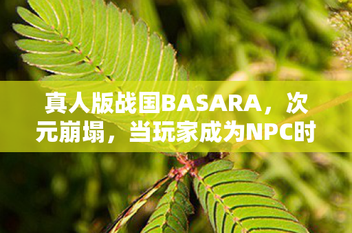 真人版战国BASARA,次元崩塌,当玩家成为NPC时,自由意志是宿命牢笼还是终极救赎? 真人版战国BASARA,次元崩塌,当玩家成为NPC时,自由意志是宿命牢笼还是终极救赎?
