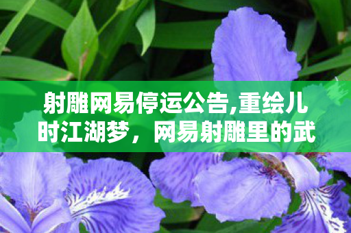 射雕网易停运公告,重绘儿时江湖梦,网易射雕里的武侠烟火气 射雕网易停运公告,重绘儿时江湖梦,网易射雕里的武侠烟火气