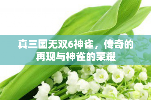 传奇的再现与神雀的荣耀图片