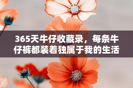 365天牛仔收藏录,每条牛仔裤都装着独属于我的生活碎片 365天牛仔收藏录,每条牛仔裤都装着独属于我的生活碎片