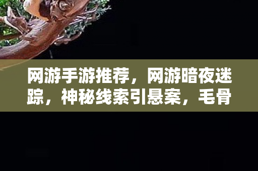 网游手游推荐，网游暗夜迷踪，神秘线索引悬案，毛骨悚然十年困局