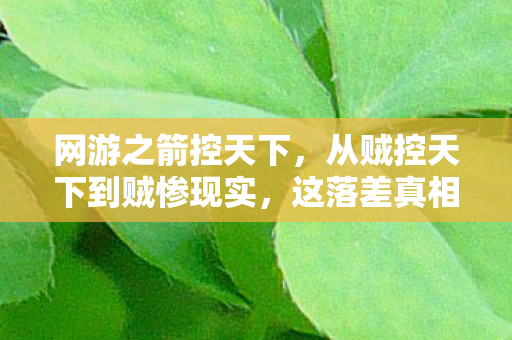 网游之箭控天下,从贼控天下到贼惨现实,这落差真相让我笑着笑着就哭了 网游之箭控天下,从贼控天下到贼惨现实,这落差真相让我笑着笑着就哭了