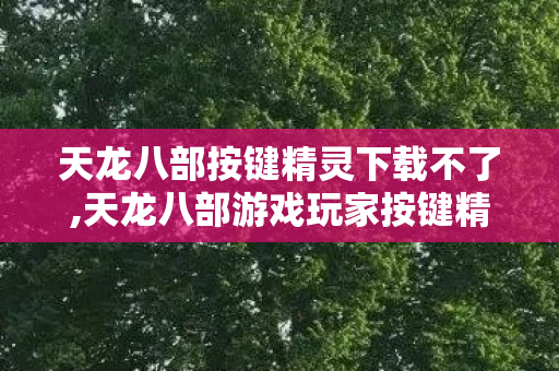 天龙八部按键精灵下载不了,天龙八部游戏玩家按键精灵工具实用指南 天龙八部按键精灵下载不了,天龙八部游戏玩家按键精灵工具实用指南