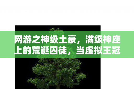 网游之神级土豪,满级神座上的荒诞囚徒,当虚拟王冠压碎现实脊梁 网游之神级土豪,满级神座上的荒诞囚徒,当虚拟王冠压碎现实脊梁