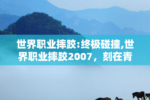 世界职业摔跤:终极碰撞,世界职业摔跤2007,刻在青春里的擂台热血印记 世界职业摔跤:终极碰撞,世界职业摔跤2007,刻在青春里的擂台热血印记