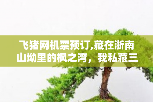 飞猪网机票预订,藏在浙南山坳里的枫之湾,我私藏三年的慢节奏归处 飞猪网机票预订,藏在浙南山坳里的枫之湾,我私藏三年的慢节奏归处