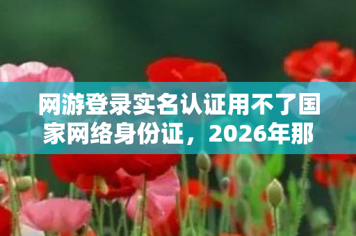 网游登录实名认证用不了国家网络身份证,2026年那场实名认证的伏笔,让我想起你,鼻子一酸 网游登录实名认证用不了国家网络身份证,2026年那场实名认证的伏笔,让我想起你,鼻子一酸