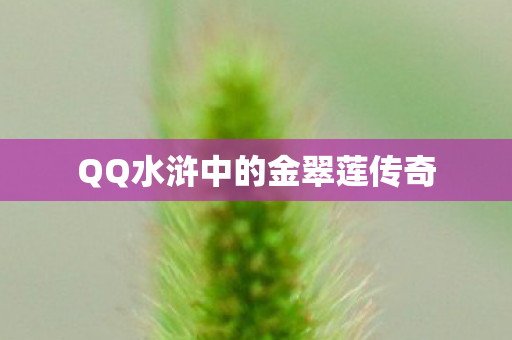 QQ水浒中的金翠莲传奇图片