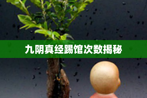 九阴真经踢馆次数揭秘图片