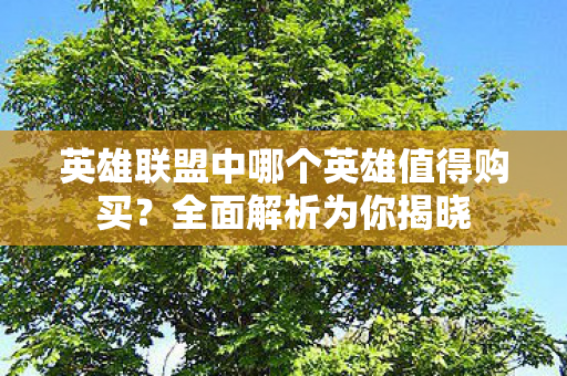 英雄联盟中哪个英雄值得购买图片