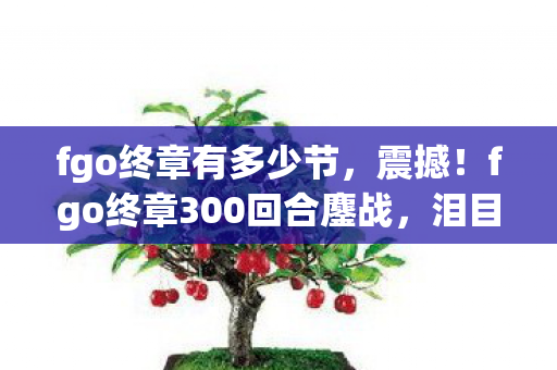fgo终章有多少节,震撼!fgo终章300回合鏖战,泪目通关全体验 fgo终章有多少节,震撼!fgo终章300回合鏖战,泪目通关全体验