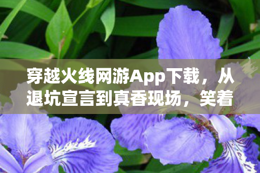 穿越火线网游App下载，从退坑宣言到真香现场，笑着笑着，我竟为CF加速哭了？
