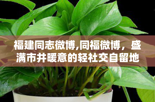 福建同志微博,同福微博，盛满市井暖意的轻社交自留地