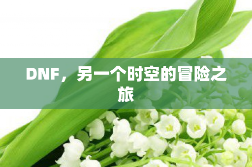 另一个时空的冒险之旅图片