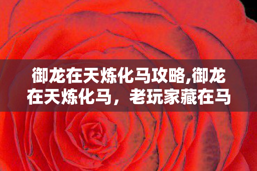 御龙在天炼化马攻略,御龙在天炼化马，老玩家藏在马厩里的热血青春
